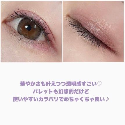 エクスプローラ12色 動物アイシャドウパレット/PERFECT DIARY/アイシャドウパレットを使ったクチコミ(9枚目)