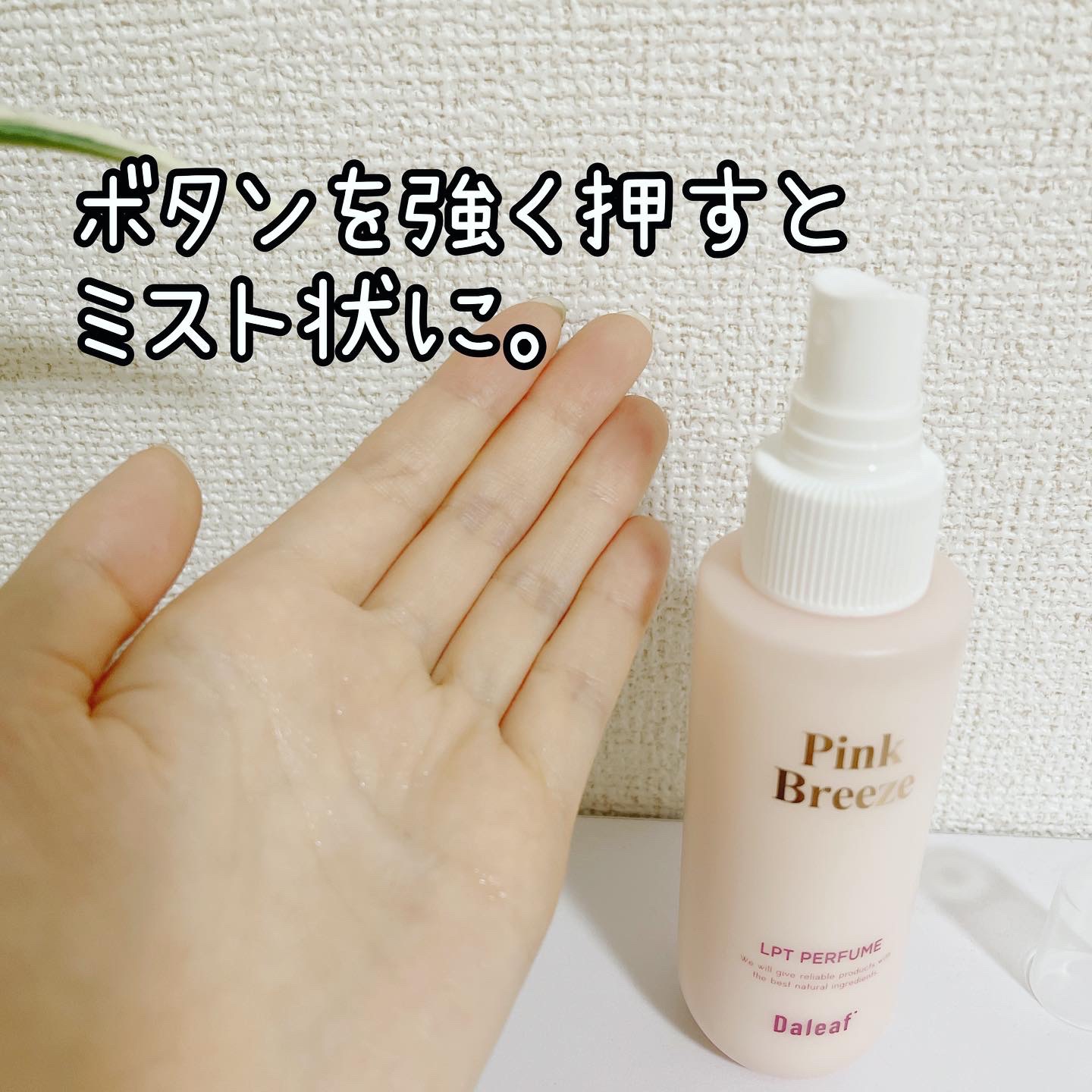 パフュームヘアパックインミスト Pink Breeze/Daleaf/アウトバストリートメントを使ったクチコミ（3枚目）