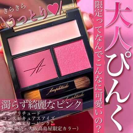 コンスピキュアス アイズ/Amplitude/アイシャドウパレットを使ったクチコミ(1枚目)