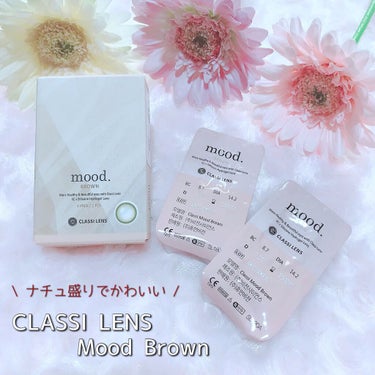 mood brown/Classilens/カラーコンタクトレンズを使ったクチコミ（1枚目）