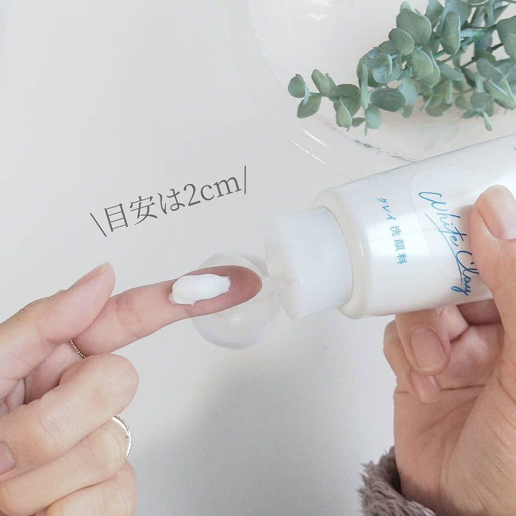 パーフェクトホワイトクレイ/SENKA（専科）/洗顔フォームを使ったクチコミ（2枚目）