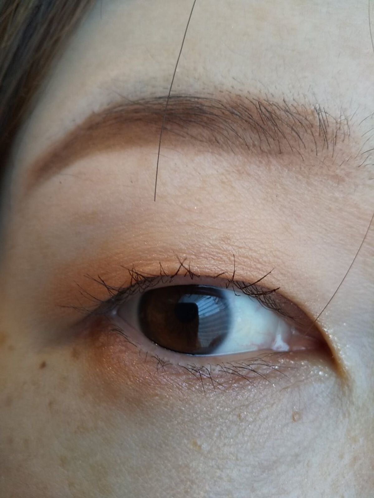 ニュアンスオンアイシャドウ/CEZANNE/アイシャドウパレットを使ったクチコミ(10枚目)