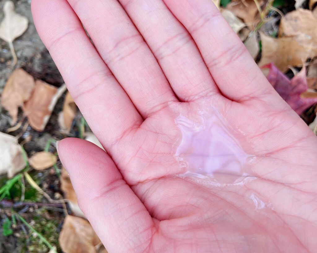 大人のニキビライン トライアルセット/草花木果/トライアルキットを使ったクチコミ(4枚目)