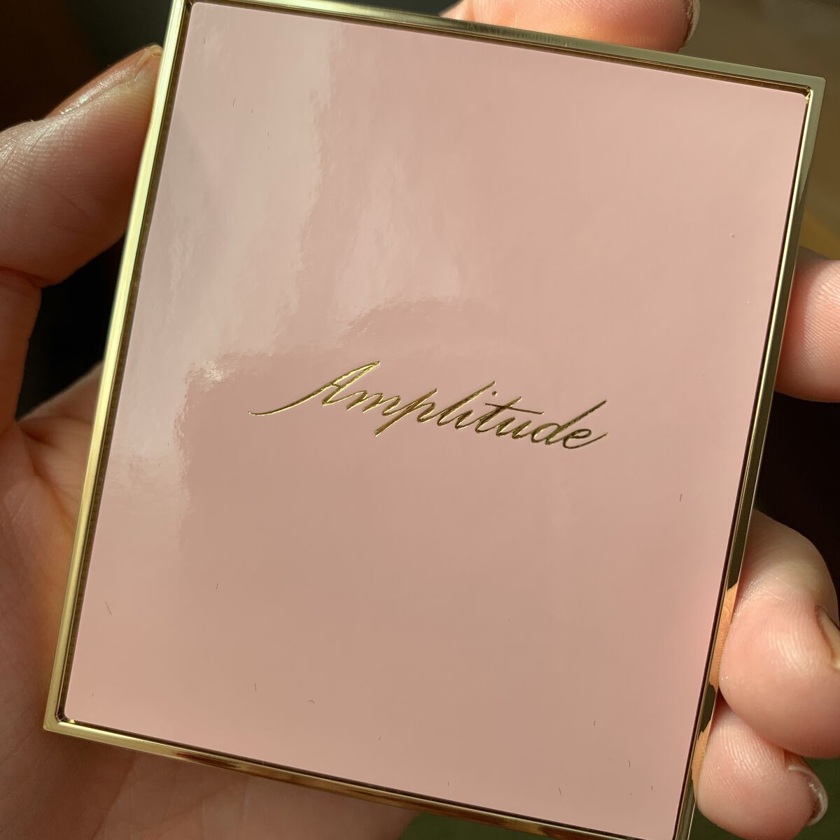 コンスピキュアス チークス/Amplitude/パウダーチークを使ったクチコミ（2枚目）