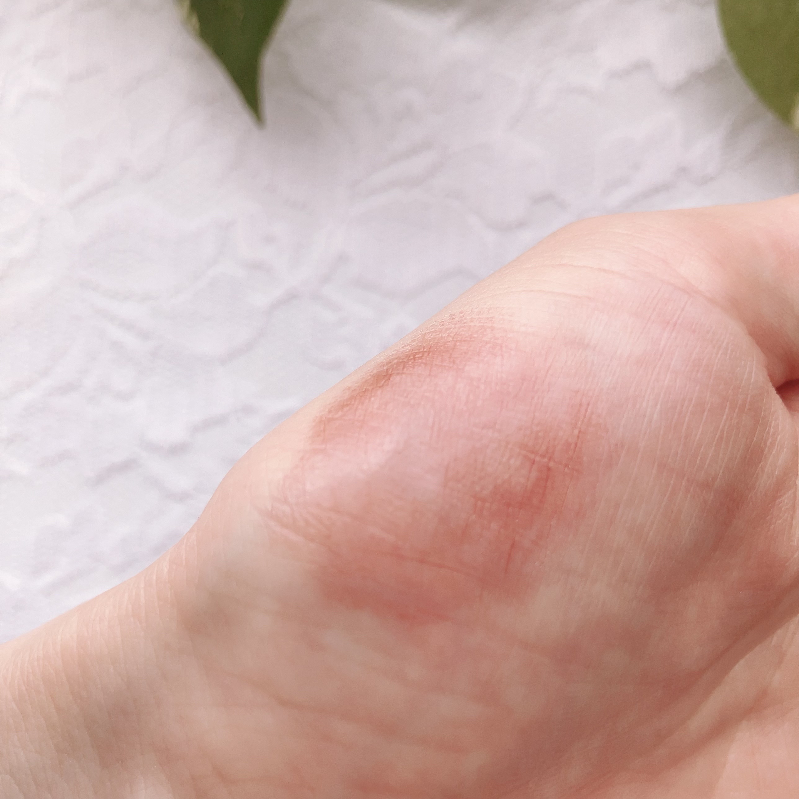 クリーム　イン　デイ/KANEBO/フェイスクリームを使ったクチコミ（3枚目）