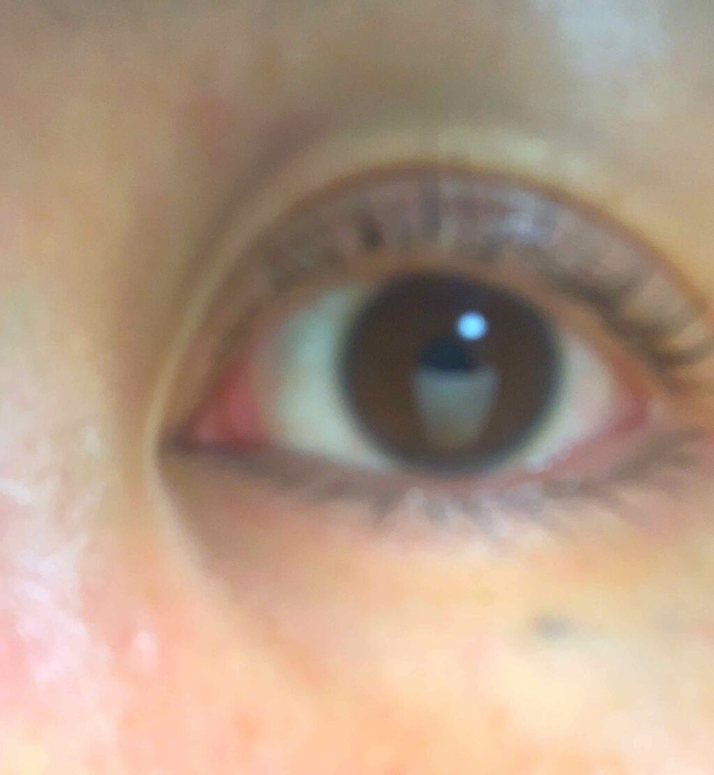 ラッシュジェリードロップ　ＥＸ/MAJOLICA MAJORCA/まつげ美容液を使ったクチコミ（3枚目）