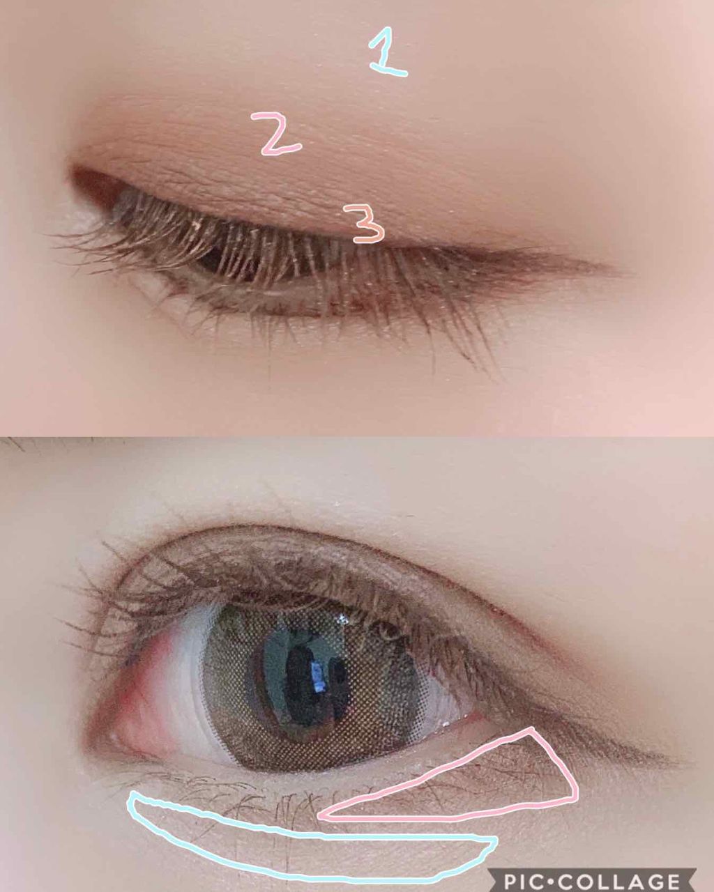 トーンアップアイシャドウ/CEZANNE/アイシャドウパレットを使ったクチコミ(3枚目)