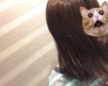 パルティ 泡のヘアカラーのクチコミ「インターンシップ用に髪を黒くしないといけない！けど、ずっと真っ黒はやだ！
っと思い一週間経った.....」（3枚目）