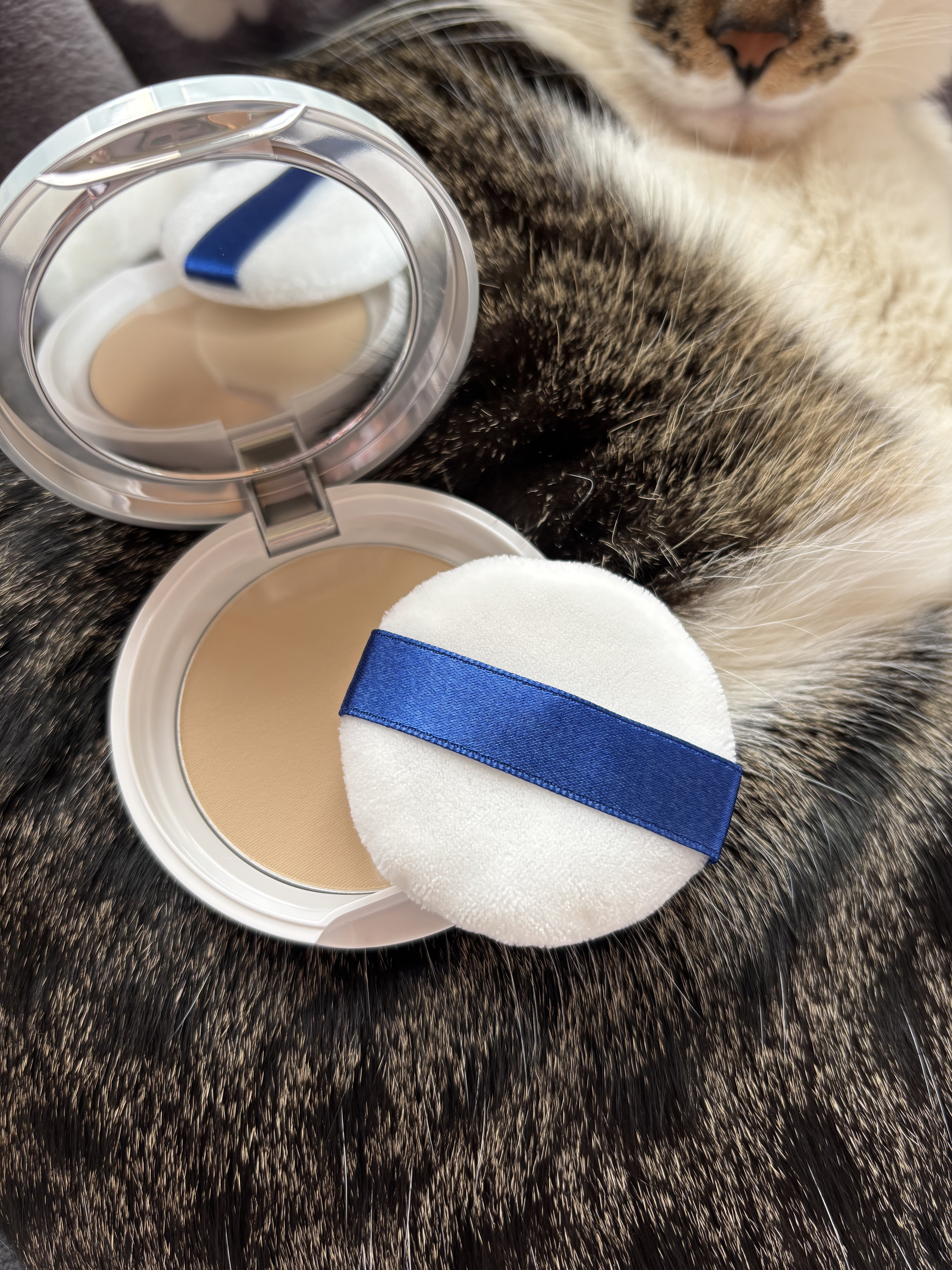 トランシーノ薬用ＵＶパウダーＥＸ/トランシーノ/日焼け止めパウダーを使ったクチコミ（2枚目）