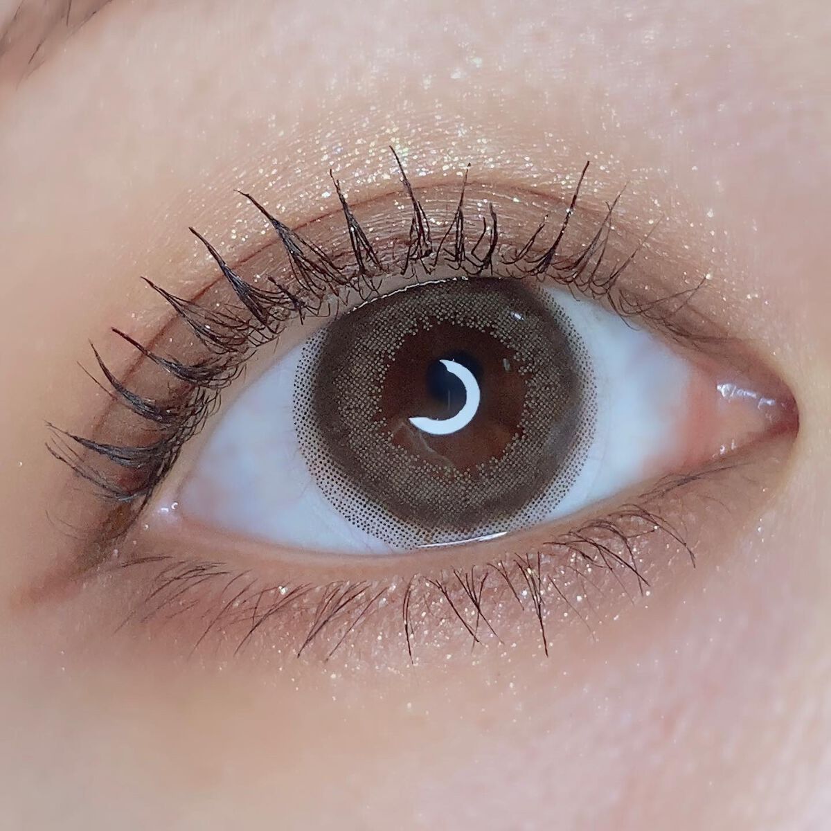 エバーカラーワンデーナチュラル モイストレーベルUV アンニュイルック/エバーカラー/ワンデー（１DAY）カラコンを使ったクチコミ（3枚目）