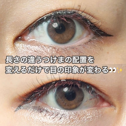 クイックエクステンション 02 RICH(リッチ)/D-UP/つけまつげの画像