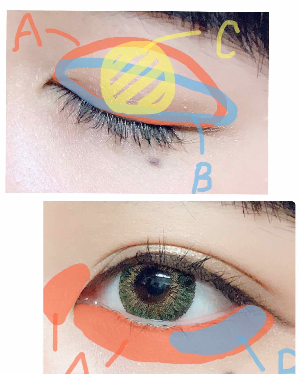 ナチュラルアイズ/マリブビューティー/アイシャドウパレットを使ったクチコミ(4枚目)