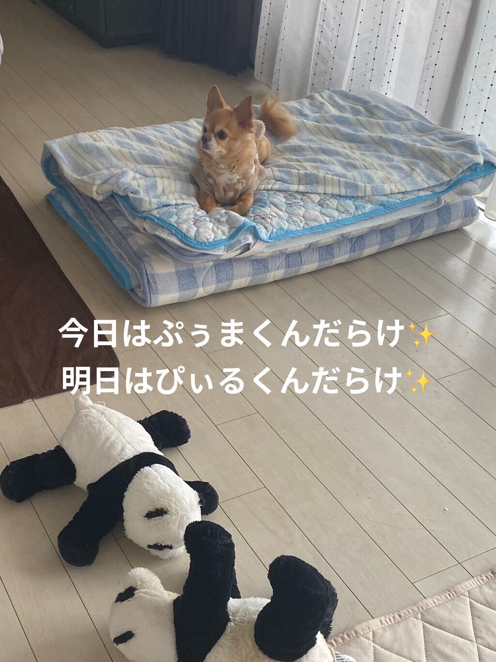 まなぶろ あわのおふろのもと おはなの香り/ヘルス/入浴剤を使ったクチコミ(9枚目)