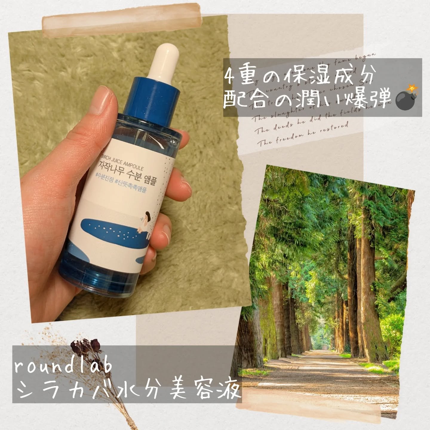 白樺水分セラム/ROUND LAB/美容液を使ったクチコミ（2枚目）