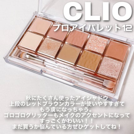 プロ アイ パレット/CLIO/アイシャドウパレットを使ったクチコミ(4枚目)