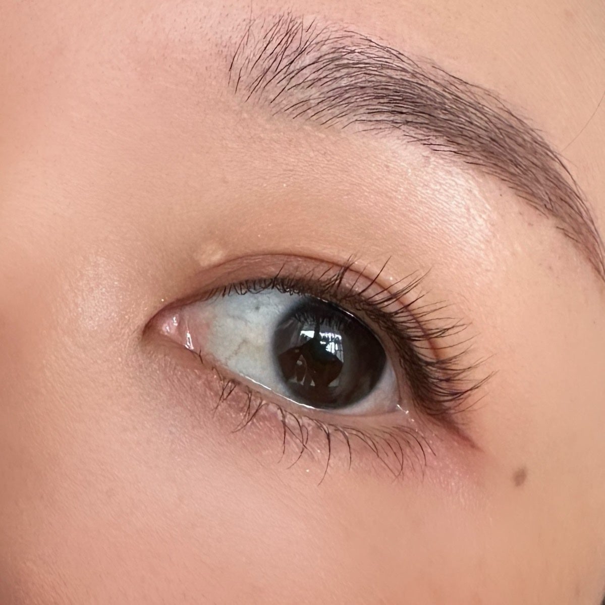 シルキーリキッドアイライナーWP/D-UP/リキッドアイライナーを使ったクチコミ(2枚目)