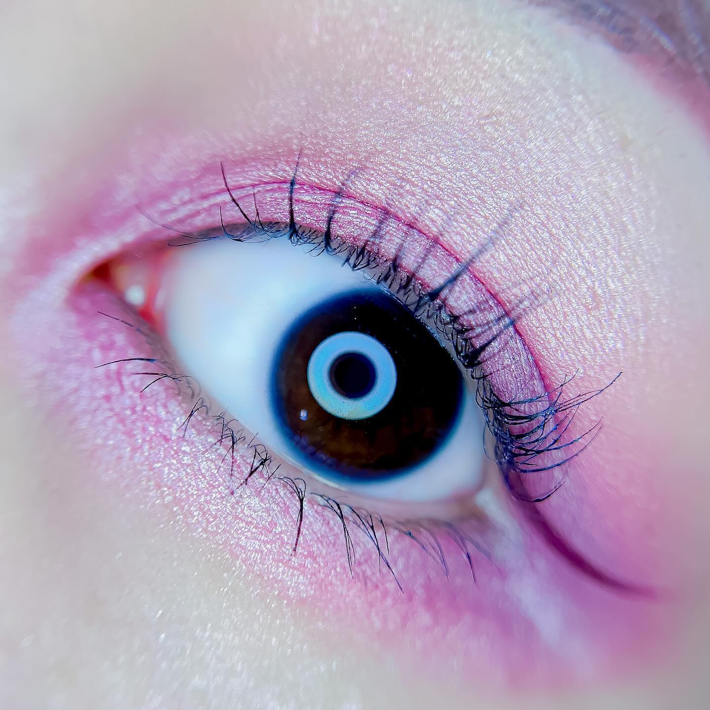 【旧】サンク クルール クチュール/Dior/アイシャドウパレットを使ったクチコミ（3枚目）