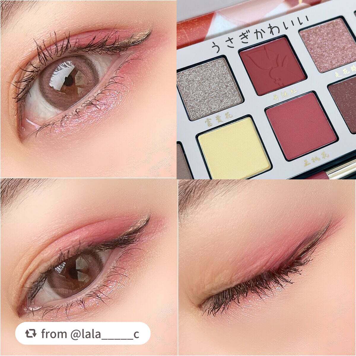 エクスプローラ12色 動物アイシャドウパレット/PERFECT DIARY/アイシャドウパレットを使ったクチコミ(4枚目)