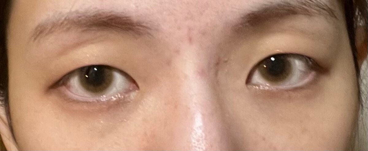 HARNE 1day/HARNE/ワンデー(1DAY)カラコンを使ったクチコミ(3枚目)