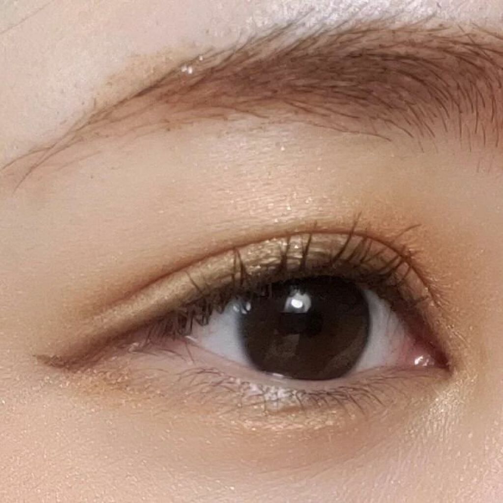 アイカラーレーション EX21 Serval Cat（限定発売）/LUNASOL/アイシャドウパレットを使ったクチコミ（1枚目）