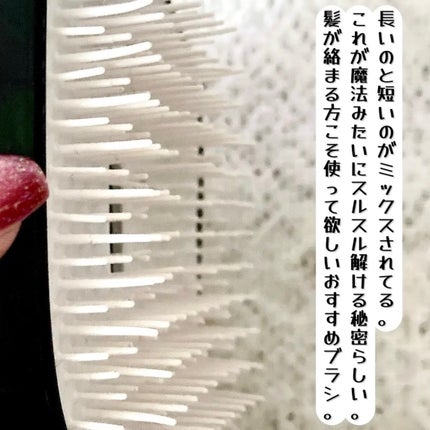 コンパクトスタイラー/TANGLE TEEZER/ヘアブラシを使ったクチコミ(4枚目)