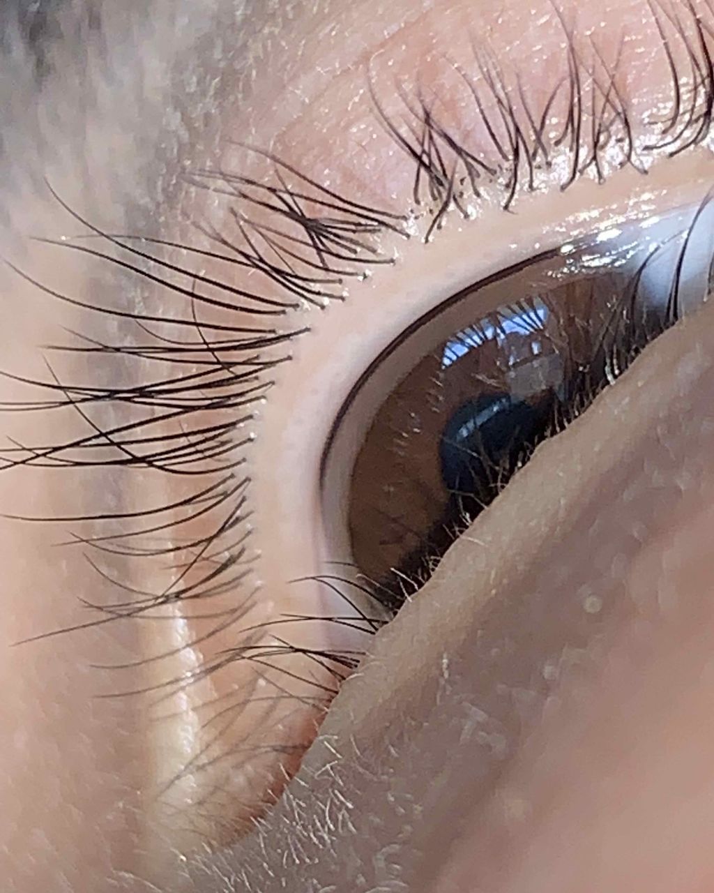 りりりり☺︎☺︎☺︎ on LIPS 「こんにちはー!!!!!2枚目の画像閲覧注意です。。。今日も使っ..」(2枚目)