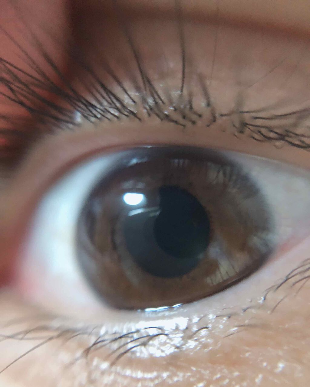 スカルプD ボーテ ピュアフリーアイラッシュセラム/アンファー(スカルプD)/まつげ美容液を使ったクチコミ（2枚目）