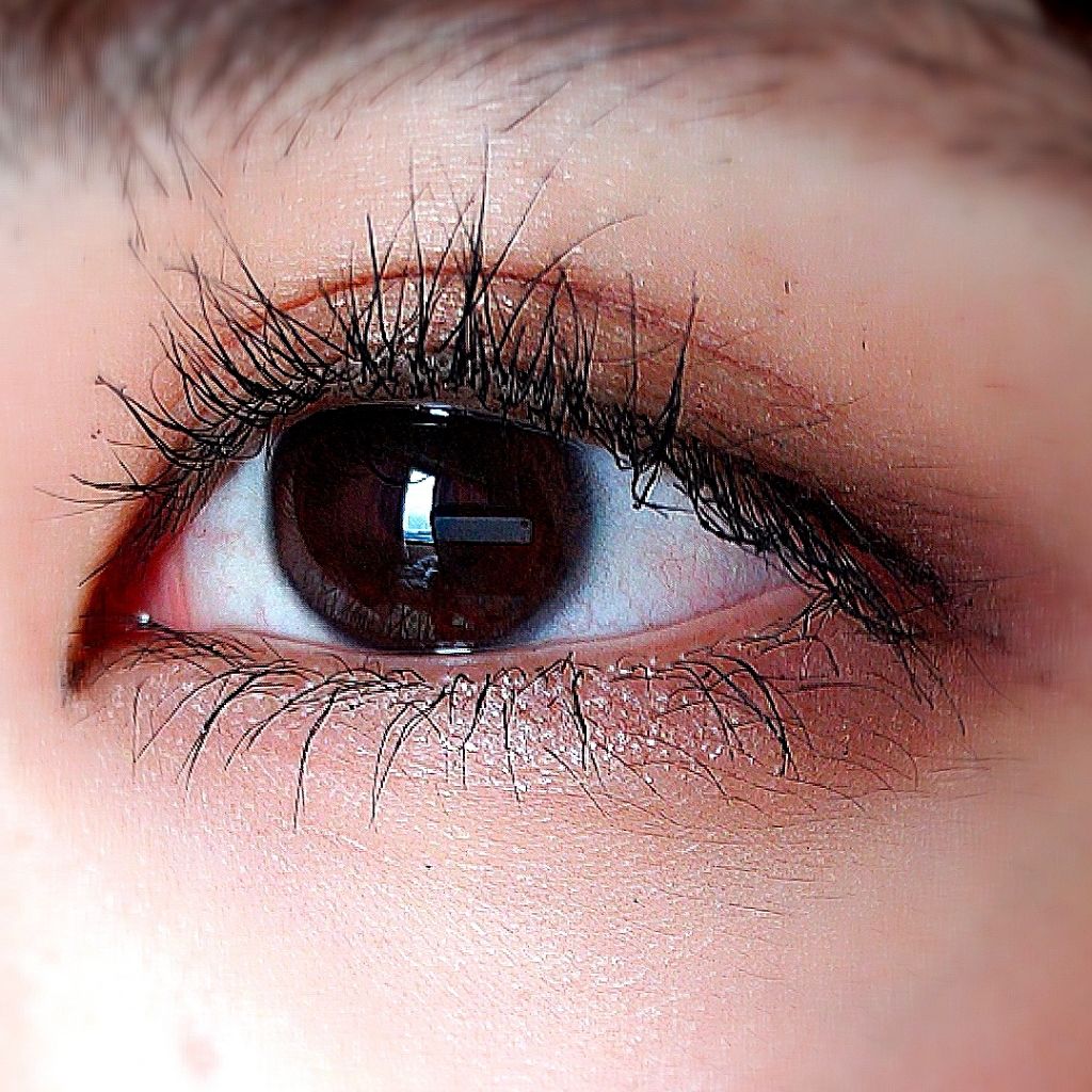 【旧品】パーフェクトスタイリストアイズ/キャンメイク/アイシャドウパレットを使ったクチコミ（3枚目）