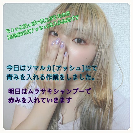ソマルカ カラーシャンプー/カラーチャージ/SOMARCA/サロンシャンプーを使ったクチコミ(4枚目)