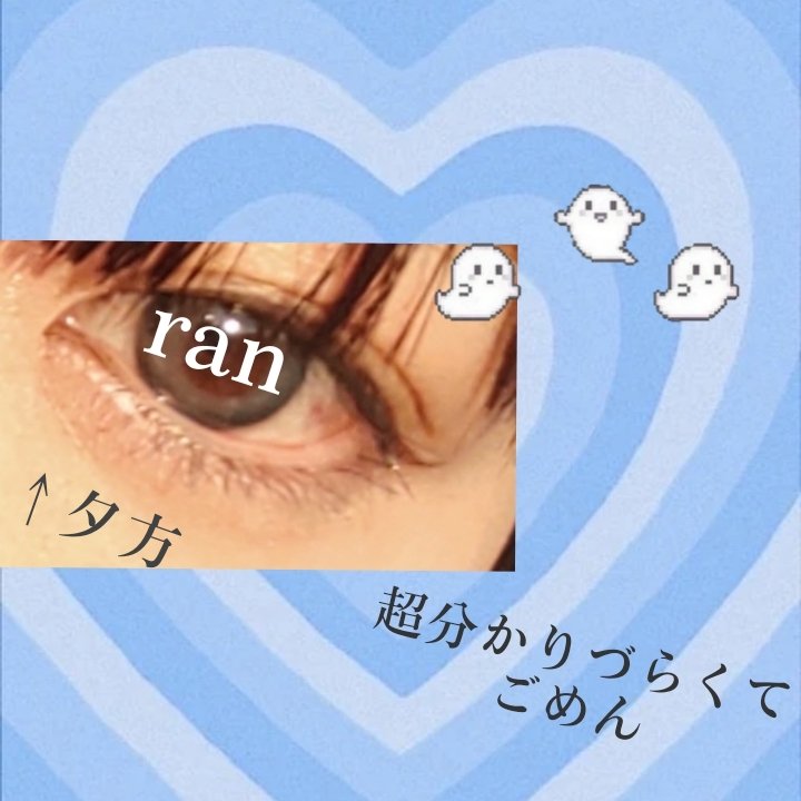 Angelcolor Bambi Series 1day /AngelColor/ワンデー（１DAY）カラコンを使ったクチコミ（3枚目）