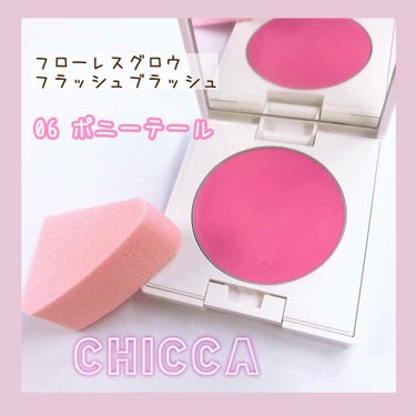 CHICCA 新品未使用 フローレスグロウ フラッシュブラッシュ05スポンジ付き