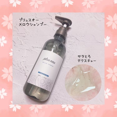 ハイドロミストN/plus eau/アウトバストリートメントを使ったクチコミ（2枚目）