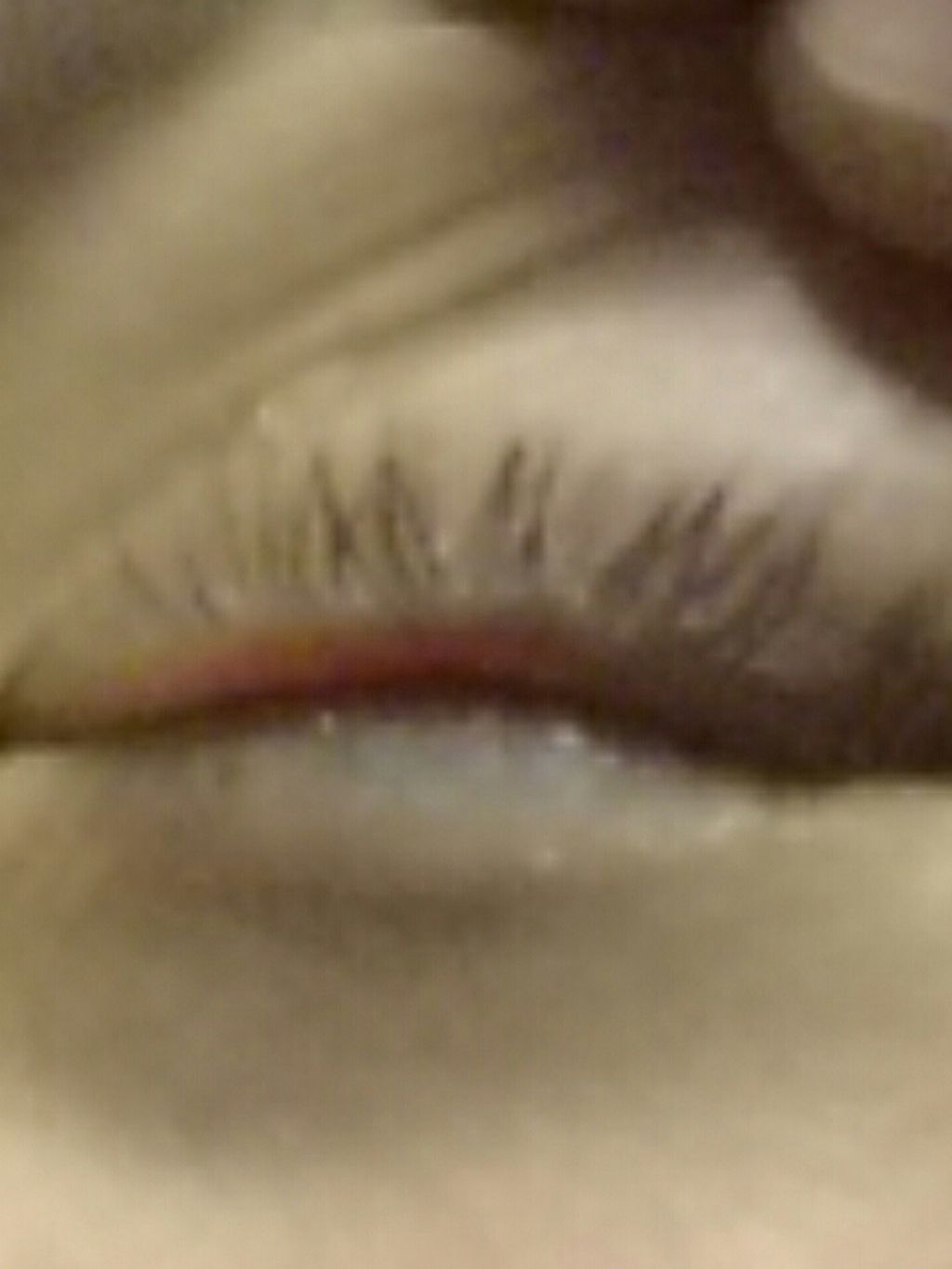 THE まつ毛美容液/UZU BY FLOWFUSHI/まつげ美容液を使ったクチコミ（3枚目）