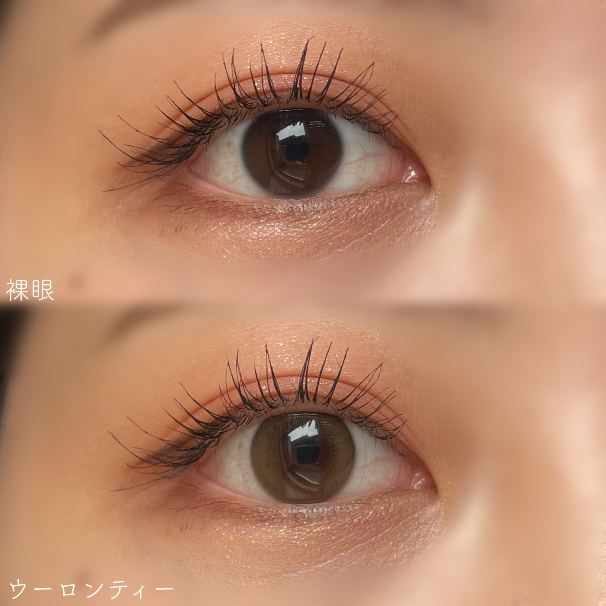 feliamo 1day/feliamo/ワンデー（１DAY）カラコンを使ったクチコミ（3枚目）