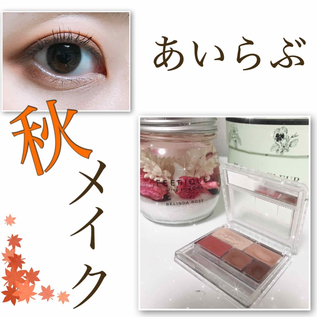 パーフェクトマルチアイズ/キャンメイク/アイシャドウパレットを使ったクチコミ(1枚目)