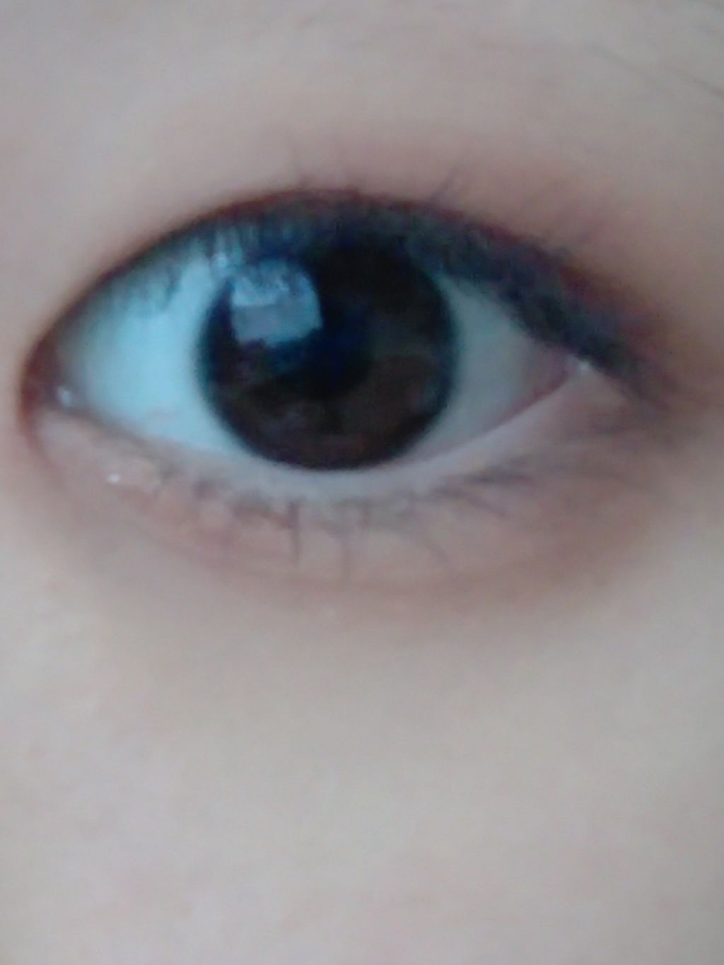 UR GLAM　BLOOMING EYE COLOR PALETTE/U R GLAM/アイシャドウパレットを使ったクチコミ（3枚目）