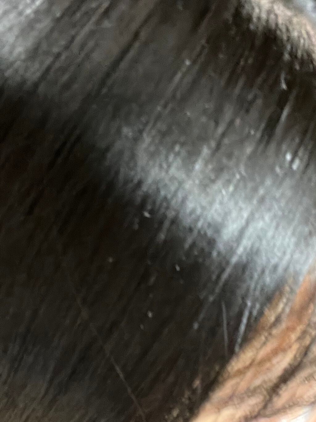 ヘアケアマスカラ/CEZANNE/ヘアジェルを使ったクチコミ(3枚目)