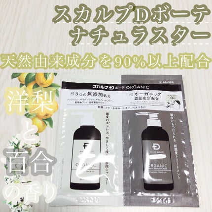 スカルプD ボーテ ナチュラスター スカルプシャンプー/トリートメントパック/アンファー(スカルプD)/シャンプー・コンディショナーを使ったクチコミ(1枚目)