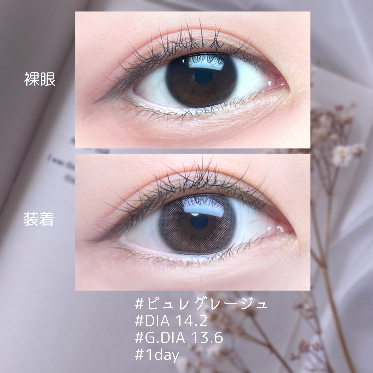 mimuco 1day/mimuco/ワンデー（１DAY）カラコンを使ったクチコミ（2枚目）