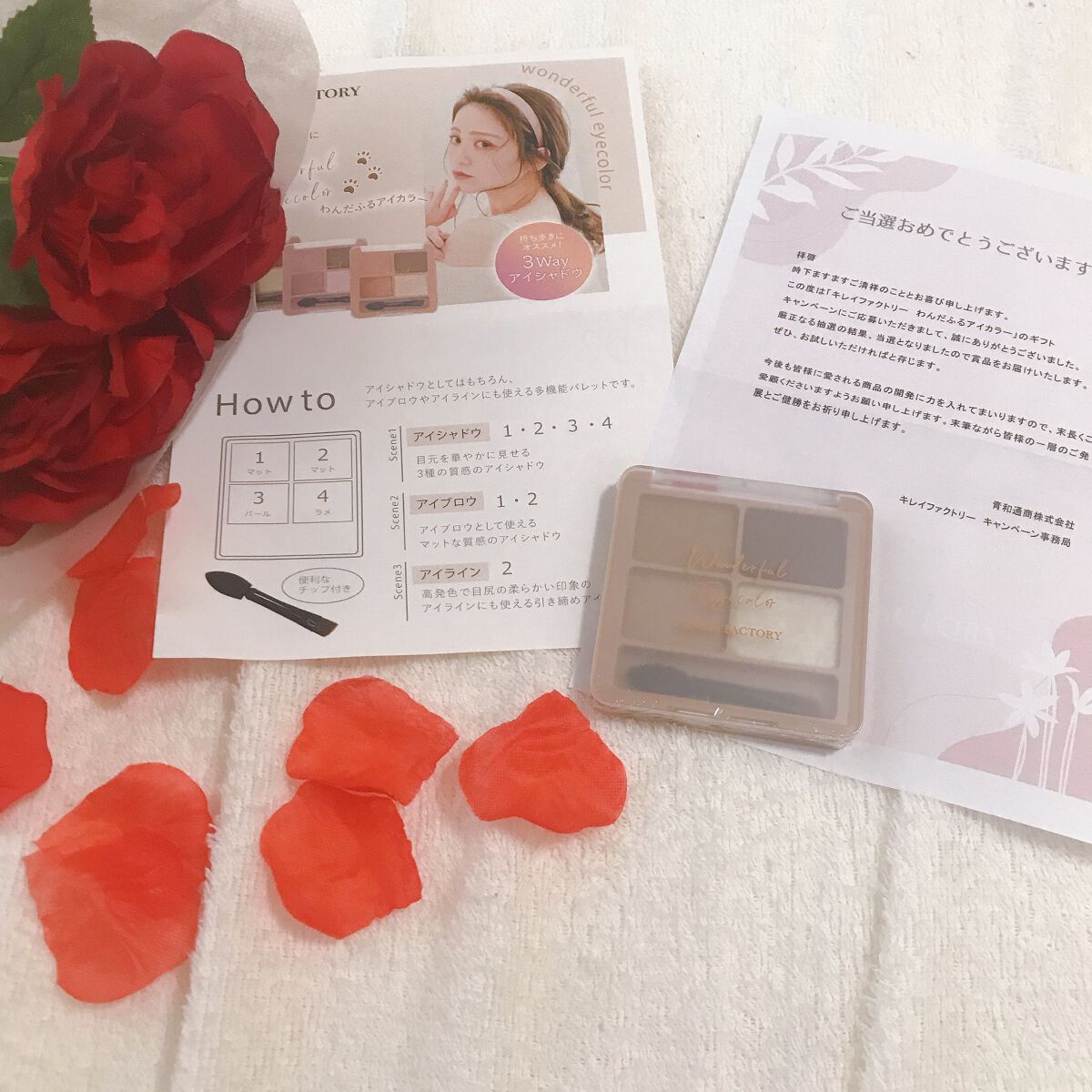 わんだふるアイカラー 01 しばブラウン（ベージュ系）/KIREI FACTORY/アイシャドウパレットを使ったクチコミ（1枚目）