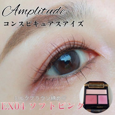 購入半額 - アンプリチュード コンスピキュアスアイズ EX-04 ソフト