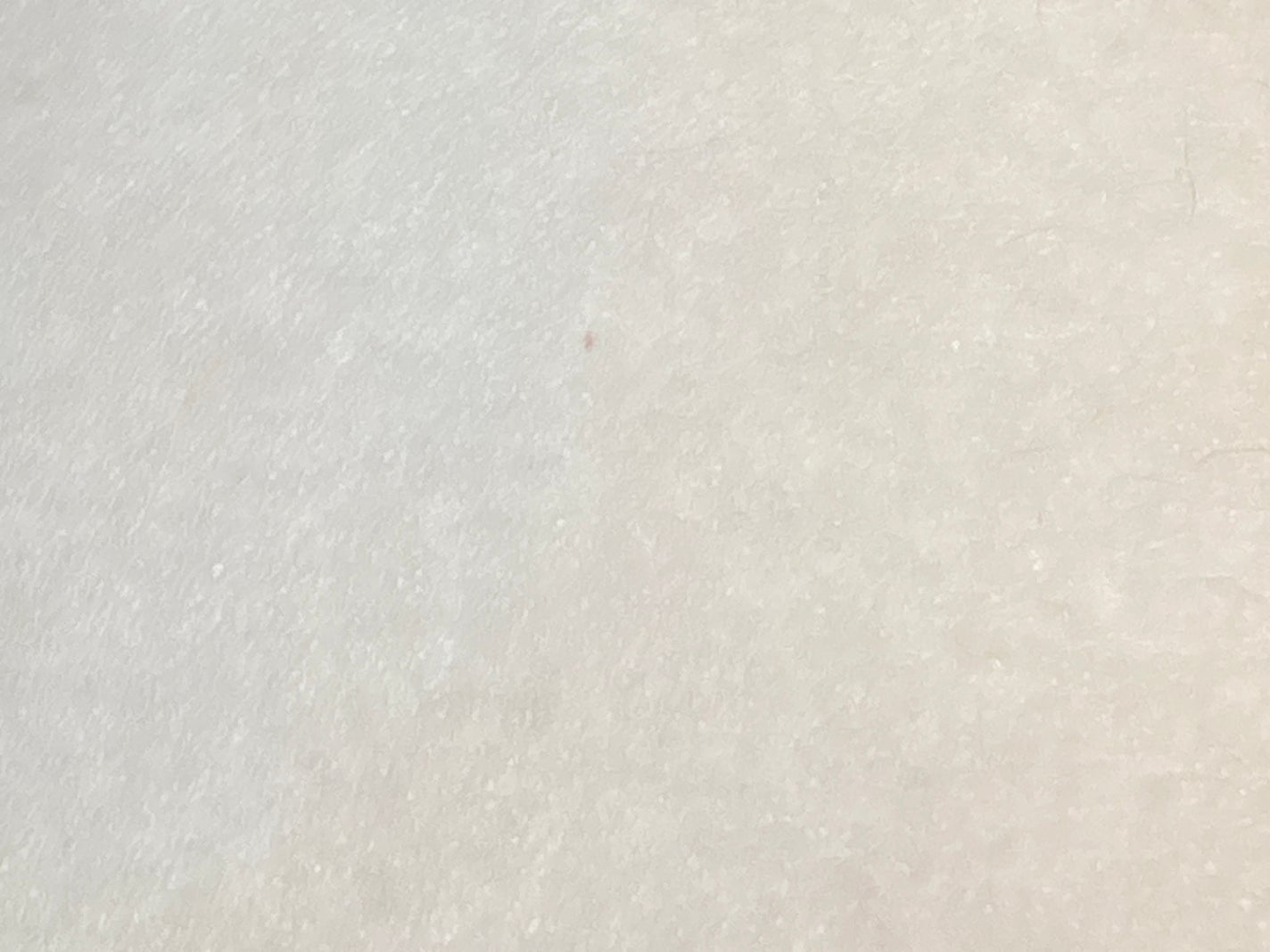 ルース パウダー/DECORTÉ/ルースパウダーを使ったクチコミ(9枚目)