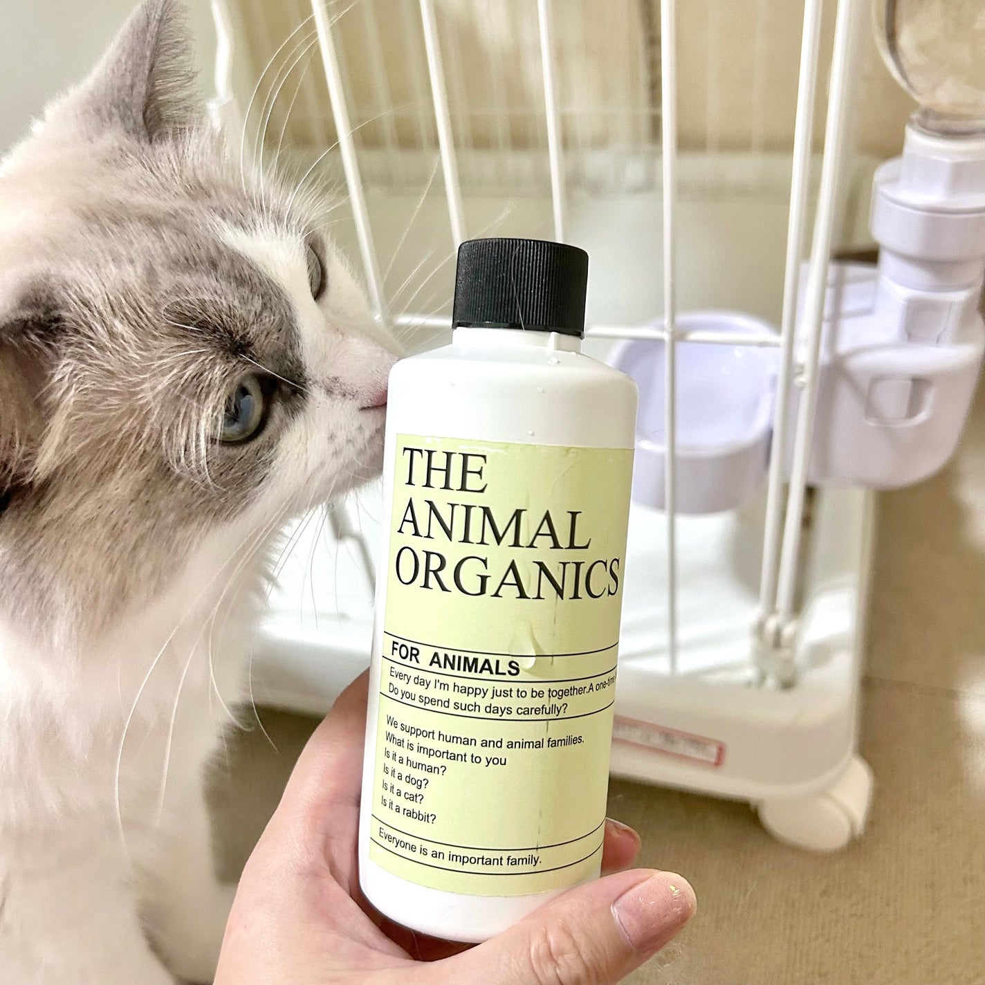 うなぎちゃんᙏ̤̫͚フォロバ1000 on LIPS 「いつもの飲み水にキャップ1杯入れるだけ!にゃんちゃんわんちゃん..」(1枚目)