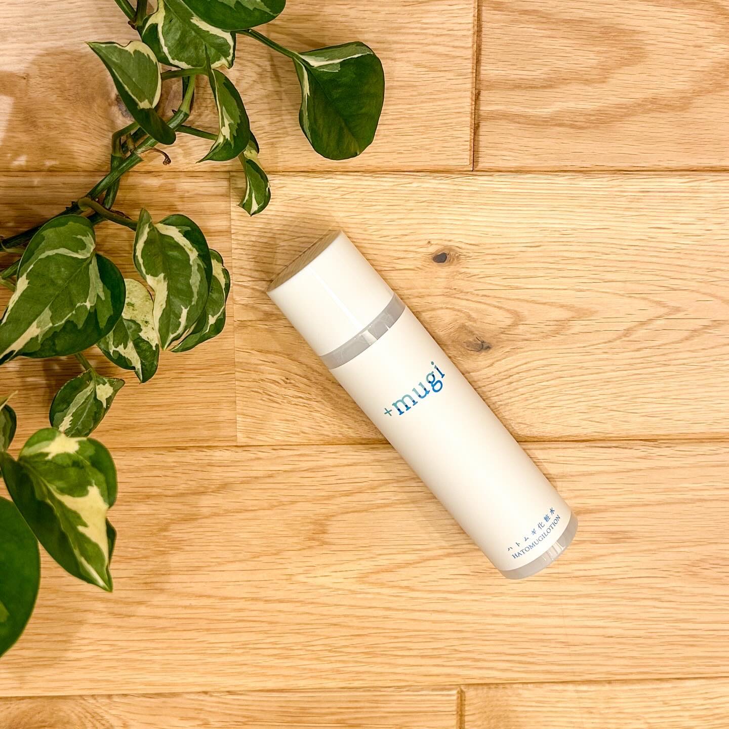 プラスムギハトムギ化粧水/+mugi/化粧水を使ったクチコミ（1枚目）