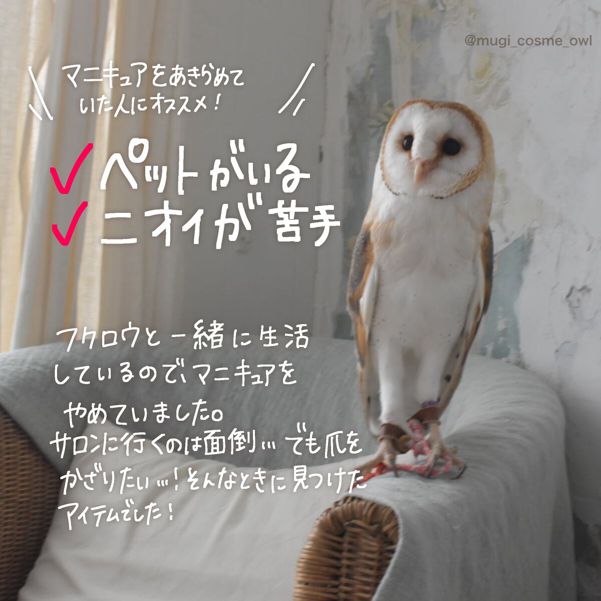 むぎ|情報量多めレビュー on LIPS 「有機溶剤フリーでペットや爪に優しい!水ベースのネイルってご存知..」(4枚目)