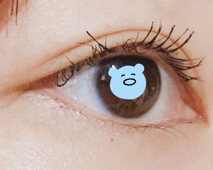 ロング&カールマスカラ スーパーWP/ヒロインメイク/マスカラを使ったクチコミ(3枚目)