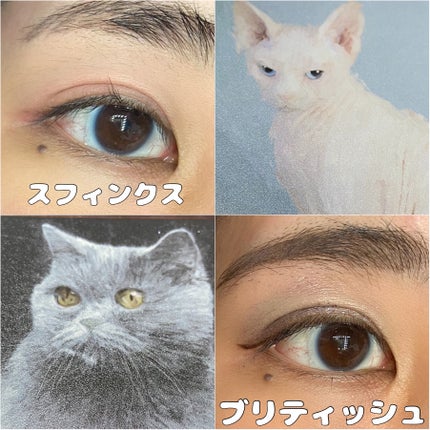 Venus Marble アイシャドウキャットシリーズ/Venus Marble/アイシャドウパレットを使ったクチコミ(3枚目)