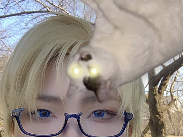 クリーム日報リップクリーム/FLORTTE/口紅を使ったクチコミ（2枚目）