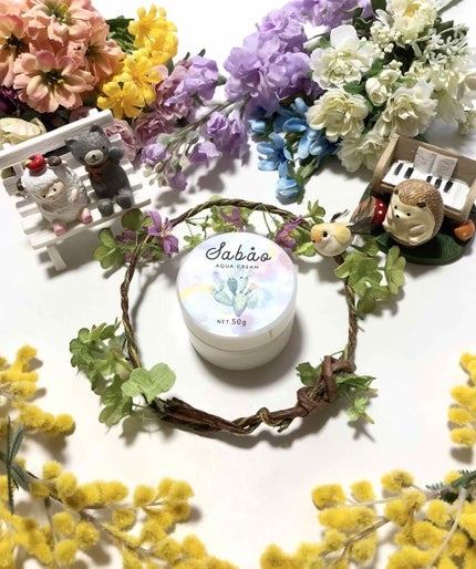 バランシング アクアクリーム/SABAO/フェイスクリームを使ったクチコミ(1枚目)