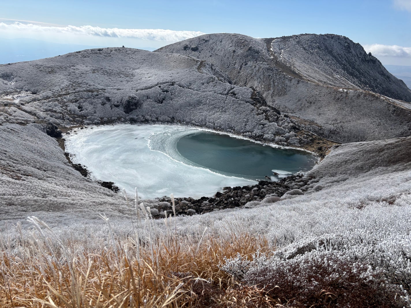オーガニック プランピングバーム ORANGE&VANILLA/SINN PURETÉ/リップバームを使ったクチコミ(7枚目)